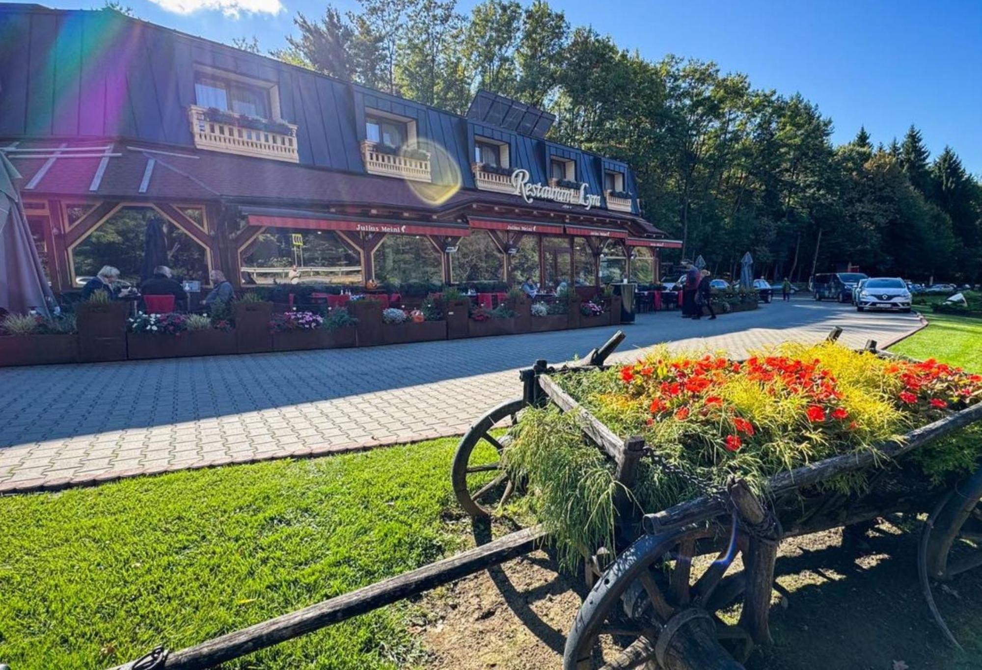 Pensiune Restaurant Lyra Corunca 外观 照片